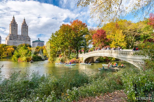 Picture of Beautiful foliage colors of New York Central Park